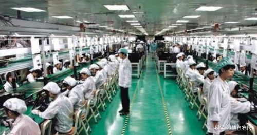 大陆代工厂为何难以替代富士康 产业链、技术与社会法律分析